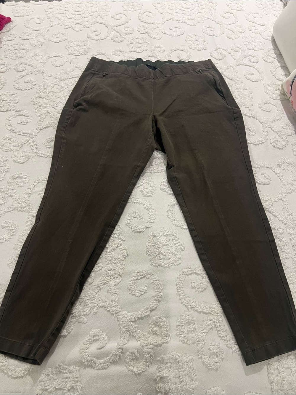 Lane Bryant Brown Stretch Chinos for Men